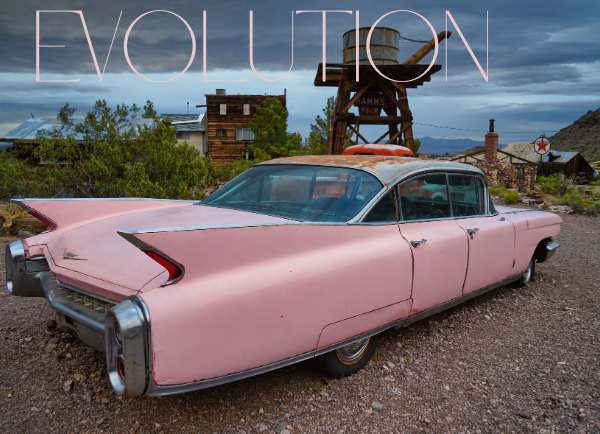 Evolution