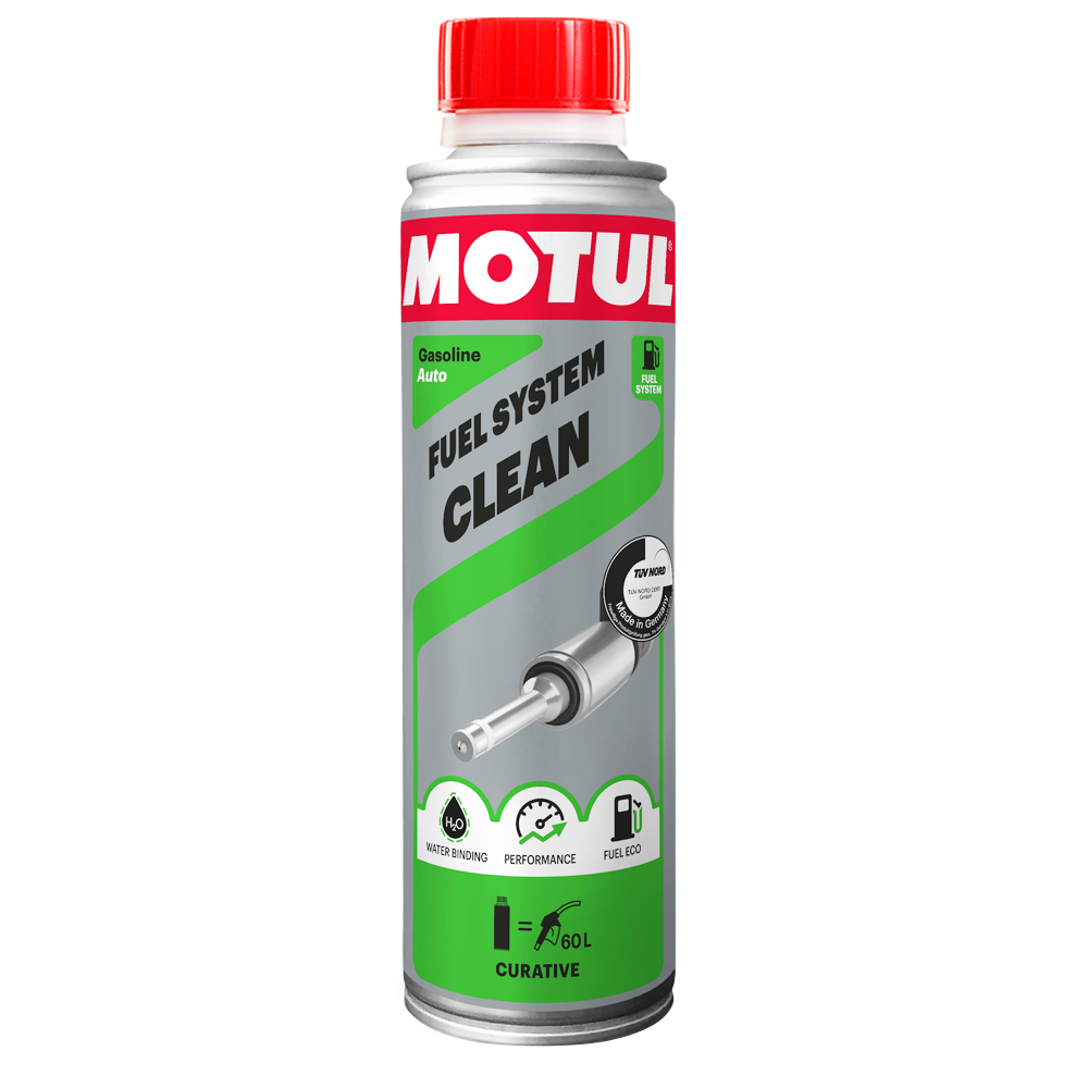 Fuel System Clean